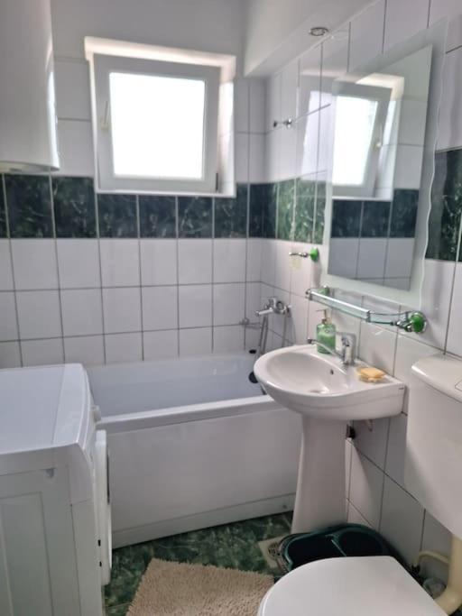Miha'S Apartament סולינה מראה חיצוני תמונה